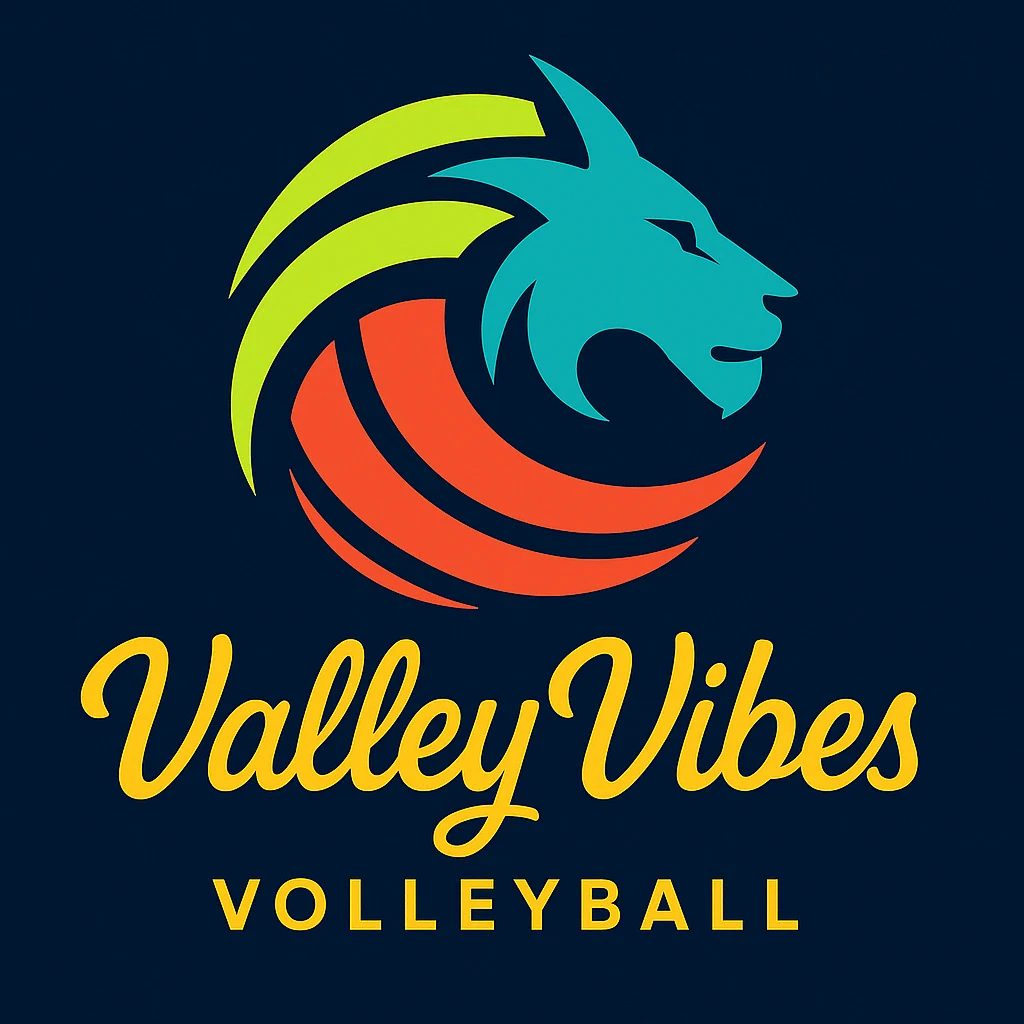 Valley Vibes volleyball identity: a stylized lion with curved ball-inspired lines, California-inspired lettering, and gold on a navy background.
